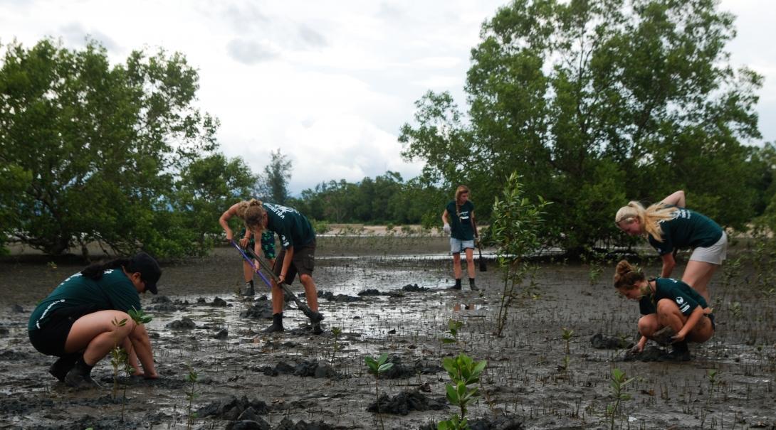 Projects Abroad marine conservation volunteers planting mangroves in Thailand on our project for high school students Teens help with mangrove reforestation during volunteer conservation work in Thailand